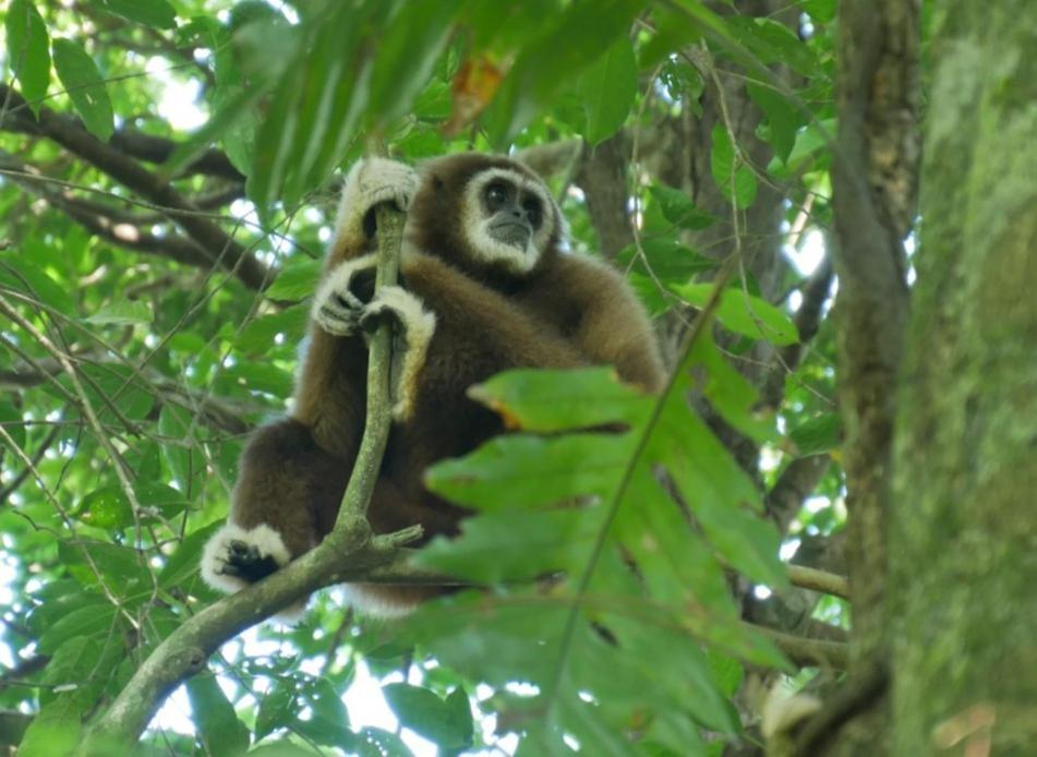 Sama Sama Homestay & Trekking Only Stay Here Book Trekking With Us Bukit Lawang Exterior foto