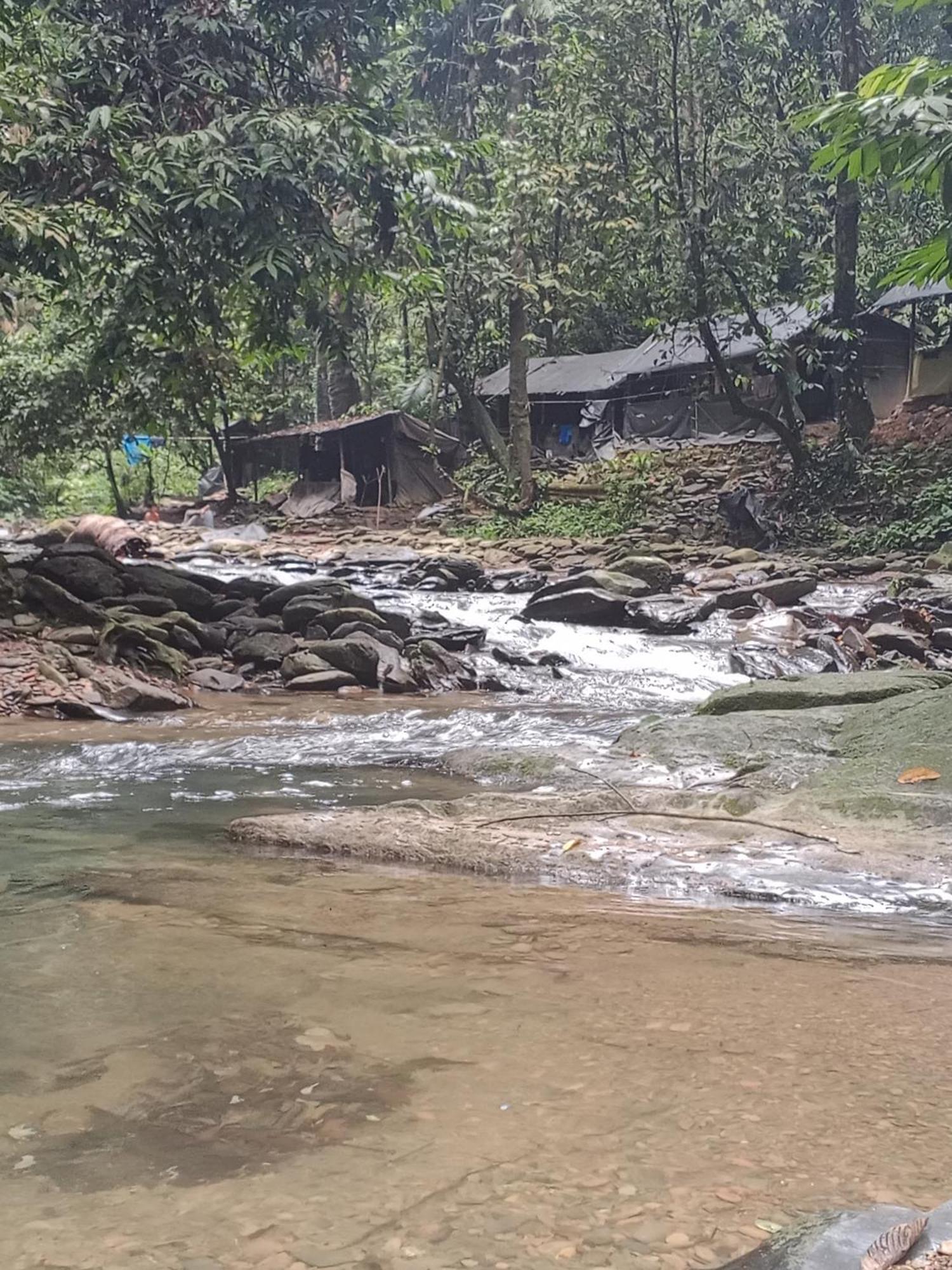 Sama Sama Homestay & Trekking Only Stay Here Book Trekking With Us Bukit Lawang Exterior foto