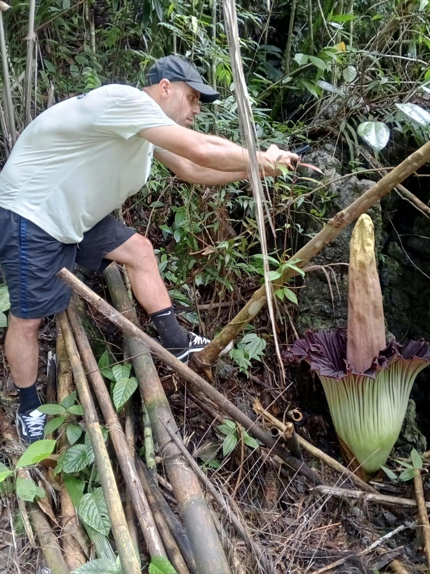 Sama Sama Homestay & Trekking Only Stay Here Book Trekking With Us Bukit Lawang Exterior foto