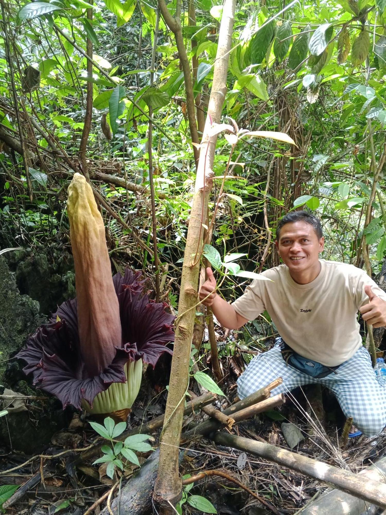 Sama Sama Homestay & Trekking Only Stay Here Book Trekking With Us Bukit Lawang Exterior foto