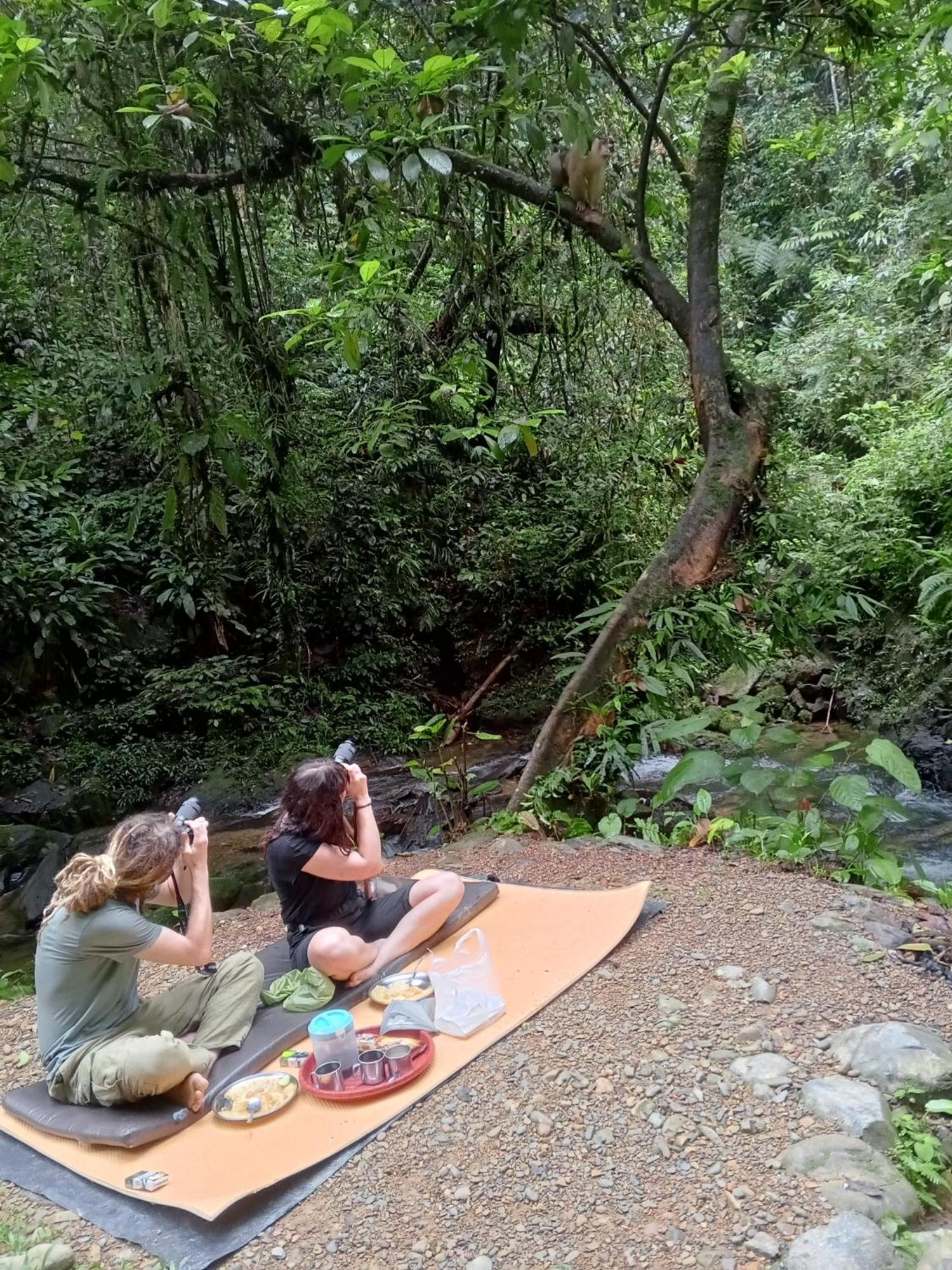 Sama Sama Homestay & Trekking Only Stay Here Book Trekking With Us Bukit Lawang Exterior foto